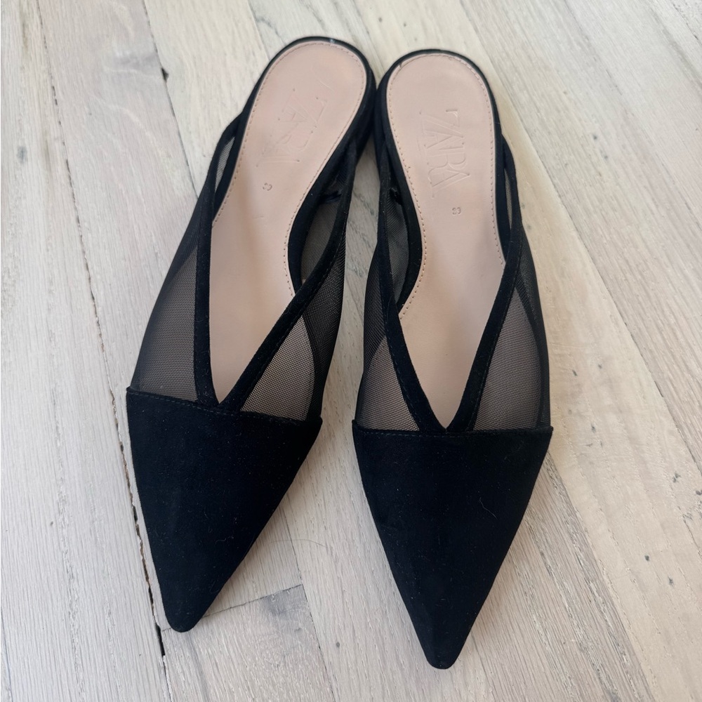Zara Pointed Toe Mules